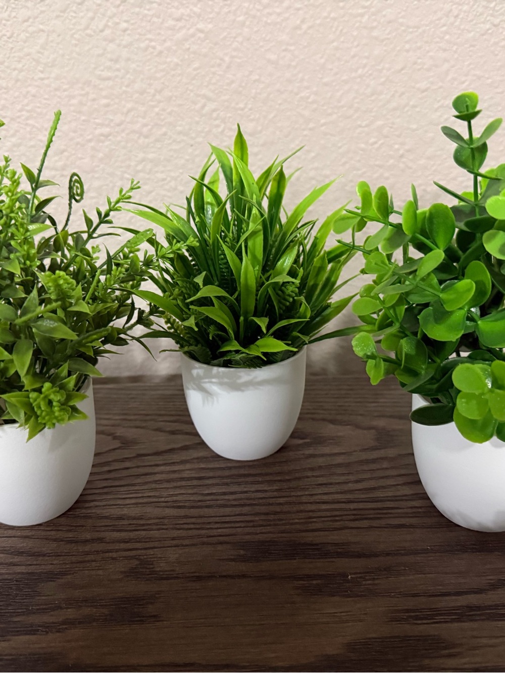 Assorted Green Faux Succulent Set in White and Brown Planters - Home Accents - Picture 4 of 4